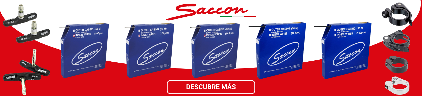 Saccon
