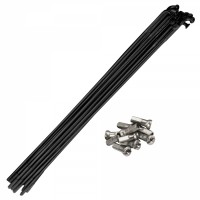 Radios Negros de 2 mm x 148 mm (bolsa de 10 unidades)